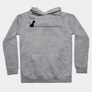 04 - My Cat Is Always Waiting For Me Hoodie